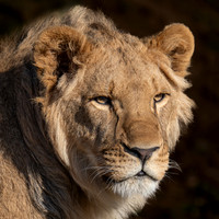Yorkshire Wildlife Park February 2026