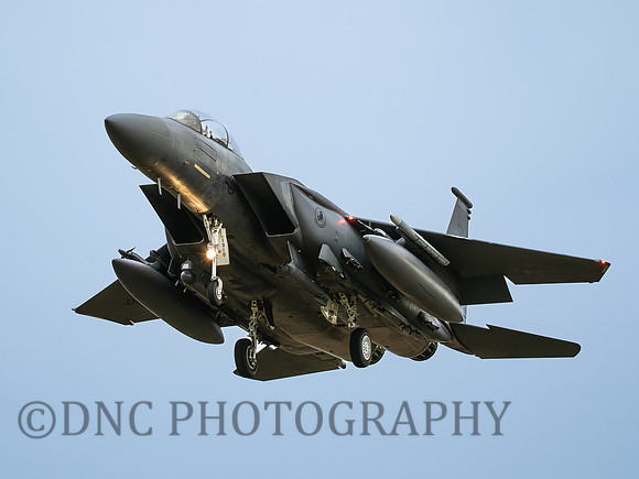 F-15E Strike Eagle LN AF 91-310