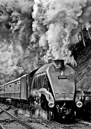 LNER 4-6-2 A4 60019 "Bittern"