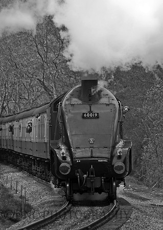 LNER A4 60019 "Bittern"