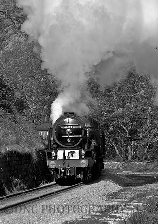LNER 4-6-2 A1 60163 "Tornado"