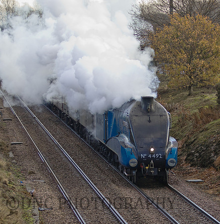 Gresley A4 60019 "Bittern" as 4492 "Dominion of New Zealand"