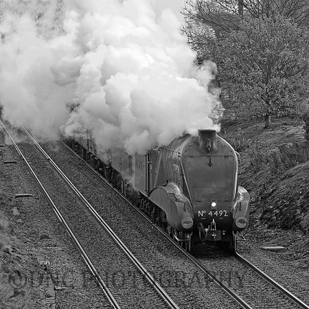 Gresley A4 60019 "Bittern" as 4492 "Dominion of New Zealand"