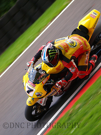 James Ellison Bike Animal Honda CBR1000RR