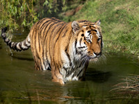 Yorkshire Wildlife Park April 2026