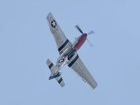 P-51D Mustang 415152 Jersey Jerk .2