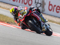 Alvaro Bautista Barni Spark Racing teaam Ducati Panigale V4R .3
