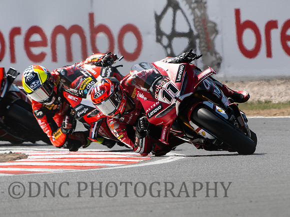 Nicolo Bulega Aruba.it Racing Ducati Panigale V4R .3