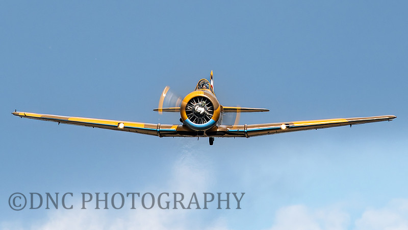 Harvard T6 AJ841'Wacky Wabbit