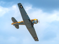 Harvard T6 AJ841'Wacky Wabbit