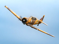 Harvard T6 AJ841'Wacky Wabbit