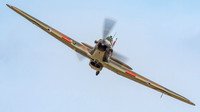 Hawker Hurricane MkI V7497