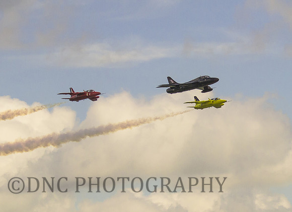 Hunter and Gnat pair