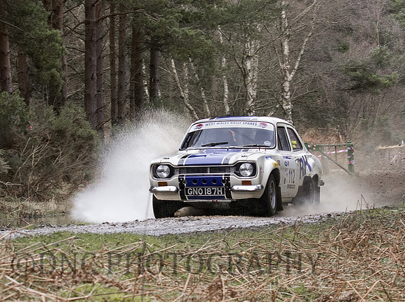 Tour of Hamsterley Rally 2013