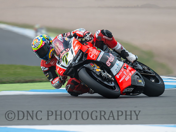 Chas Davies Aruba.it Racing Ducati Panigale R .2