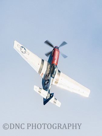 Commonwealth CA-18 Mustang 21 (P-51D) 44-415152 Jersey Jerk