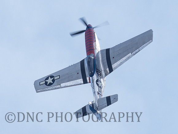 P-51D Mustang 415152 Jersey Jerk .3