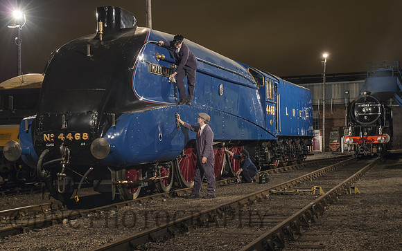 A4 4468 Mallard