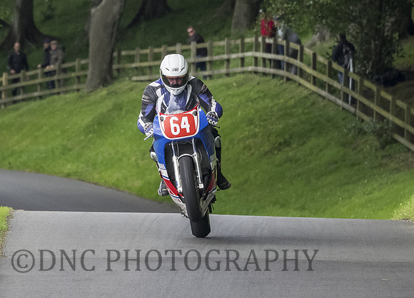 Michael Hand Yamaha FZR750