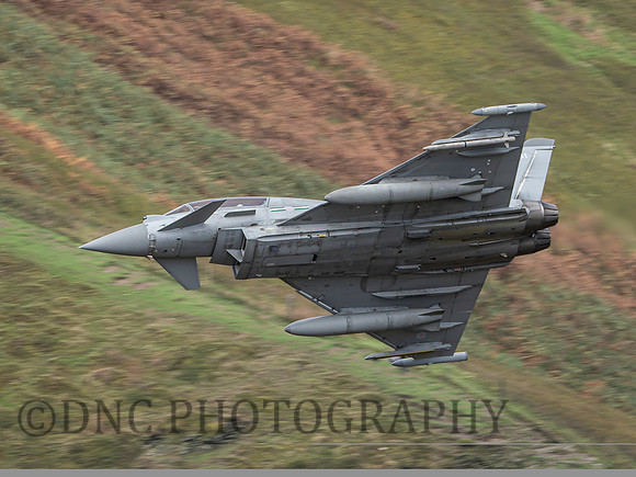 Typhoon T.3 ZK381 29sqn .1