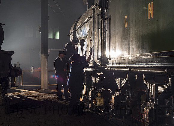 Early morning in the shed