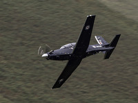 Beechcraft Texan Mk.1 ZM329 .4