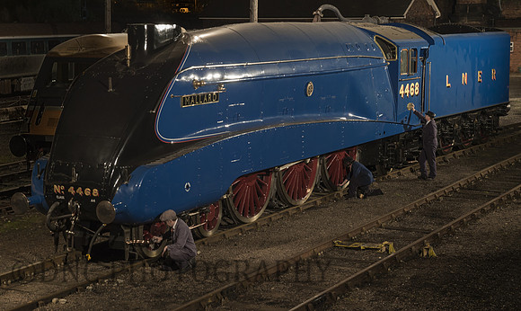 A4 4468 Mallard