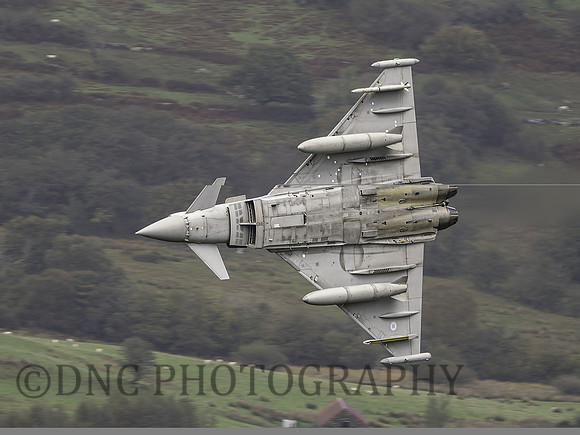 Typhoon T.3 ZK381 29sqn .2