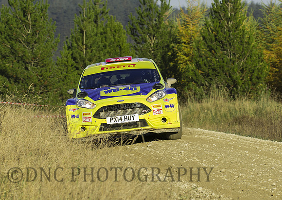 Stephen Petch & Michael Wilkinson Ford Fiesta