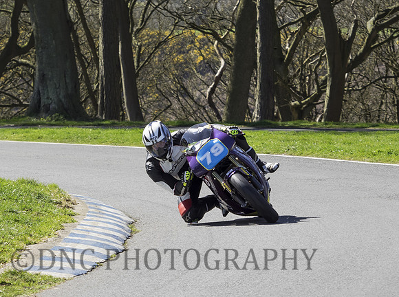 Daniel Igham Honda RVF400