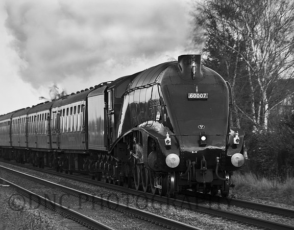 Ex LNER 4-6-2 Gresley A4 60007 "Sir Nigel Gresley"
