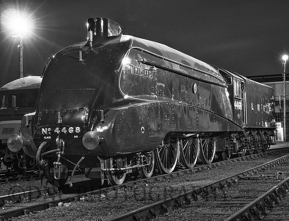 A4 4468 Mallard