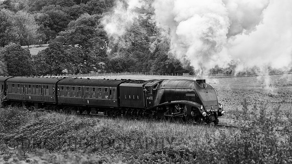 LNER A4 4498 Sir Nigel Gresley approaching Moorgates.m
