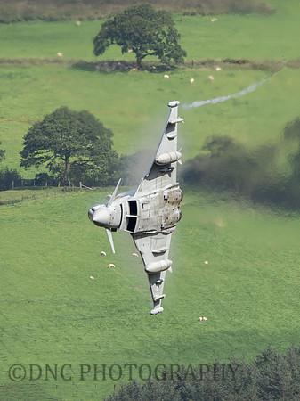 Typhoon FGR4 ZK306 Cad East 15th August