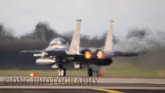 F-15E Strike Eagle LN AF 91-310