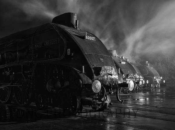 Mallard 75 The Great Gathering
