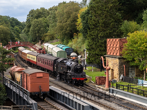 BR Std4MT stands in Goathland station