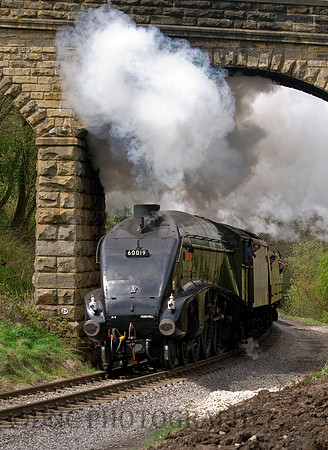 LNER A4 60019 'Bittern'