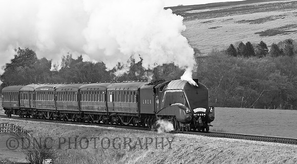 LNER A4 4464 'Bittern'