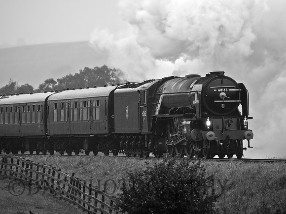 LNER A1 60163 'Tornado'