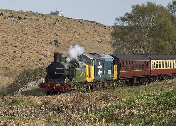 L.H & J.C Lampton Tank 29 heads CL37 37264