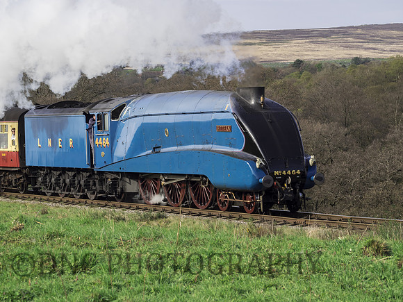 LNER A4 4464 Bittern