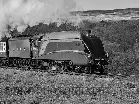 LNER A4 4464 Bittern