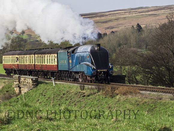 LNER A4 4464 Bittern