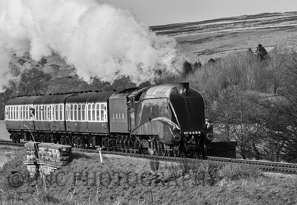 LNER A4 4464 Bittern