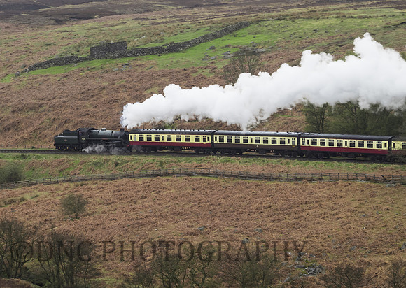 BR Std 4 75029