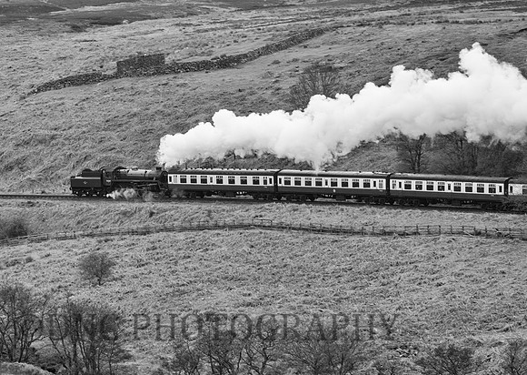 BR Std 4 75029