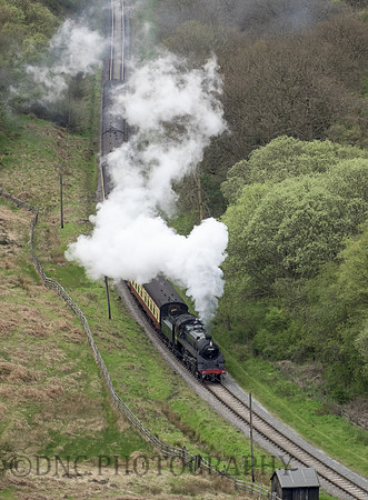 BR Std 4 75029