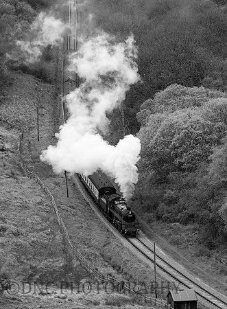 BR Std 4 75029