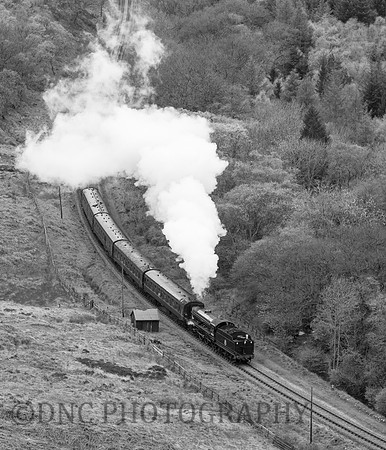 LNER B1 61264 (61034 Chiru)